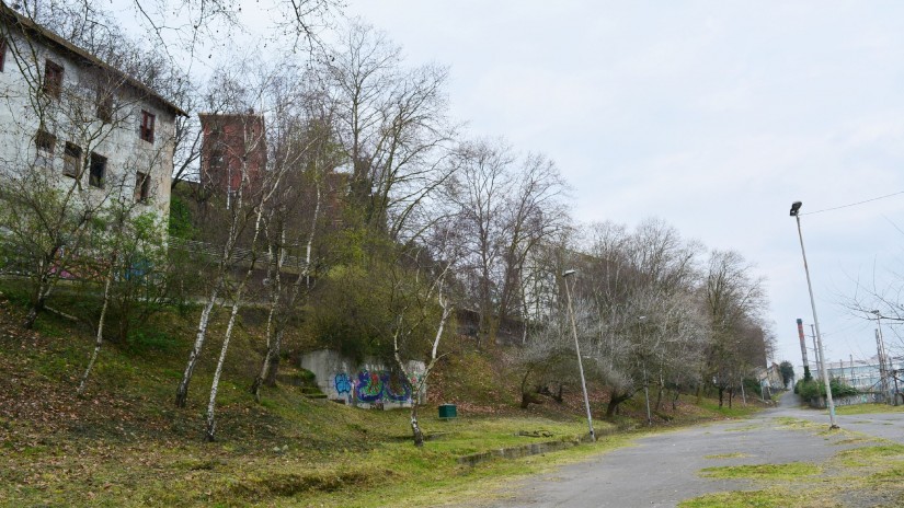 Comienza la limpieza y acondicionamiento de las laderas de la calle Txabarri con una inversión de 1,6 millones de euros
