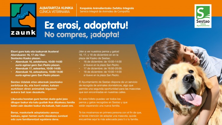 Sestao organiza una campaña de adopción de perros y gatos abandonados